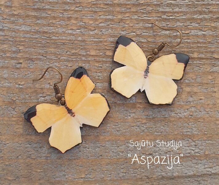 Tauriņu auskari ar āķīšiem Nr.6